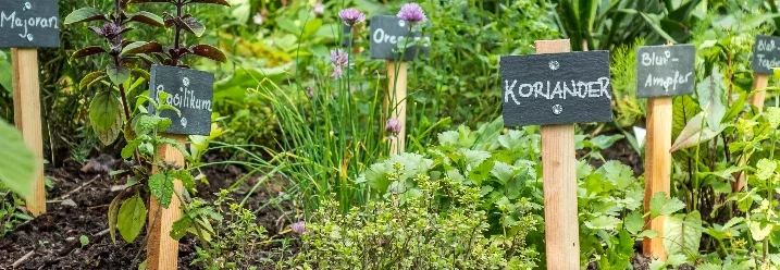 Kräutergarten mit Schildern